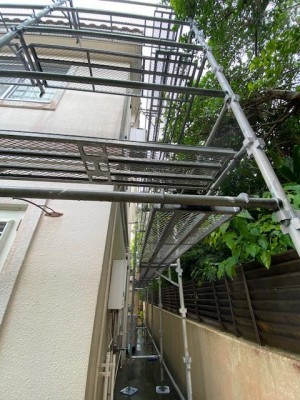 IMG_9265.jpg