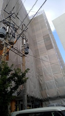 IMG_9372.JPG