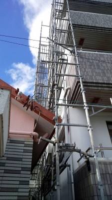 IMG_9845.JPG