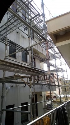 IMG_9848.JPG