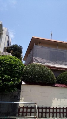 IMG_9919.JPG