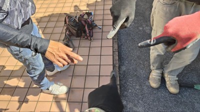 73336502-1783037733898.jpg