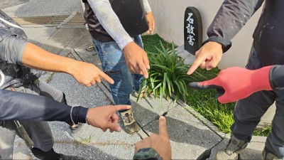 TimeTree_2026-10-26-10-08-16_20261026102722.jpg