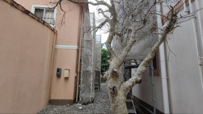TimeTree_2026-10-27-13-28-29_20261027133921.jpg